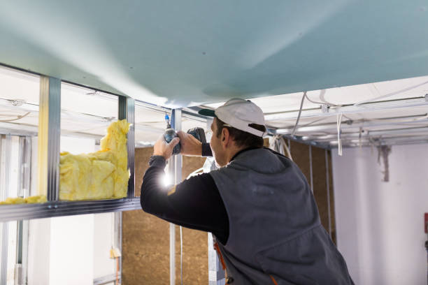 Best Insulation Maintenance and Repair in Woodsi East, DE