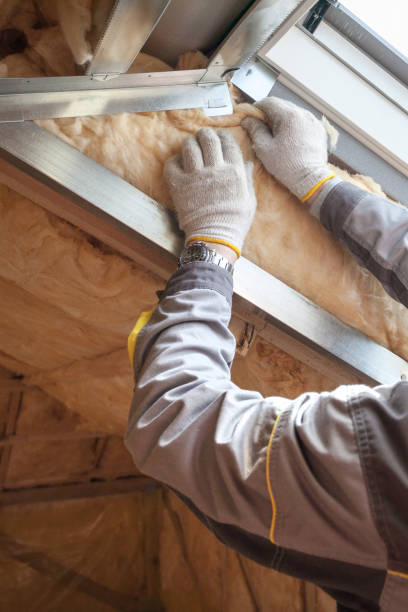 Best Eco-Friendly Insulation in Woodsi East, DE